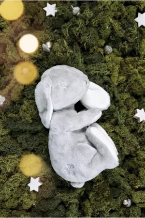 Augustin - Dormeur 25 cm