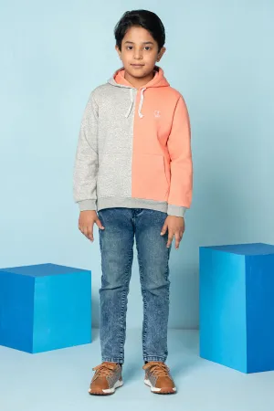 Boys ASLAN Fleece Hoodie