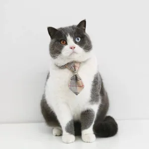 Cat Formal Neck Tie - Yellow Plaid
