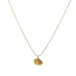 Clam Shell Necklace