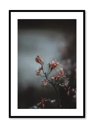 Delicate Flower, Poster