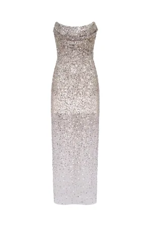 Entrance-worthy semi-sheer sequined silver maxi dress