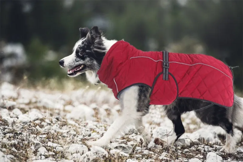 Everyday Winter Jacket