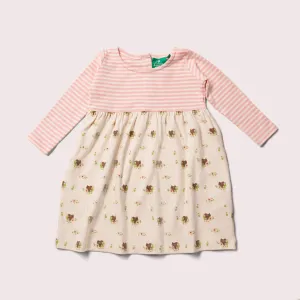Little Green Radicals Autumn Squirrel Easy Peasy Dress (0-18mths)
