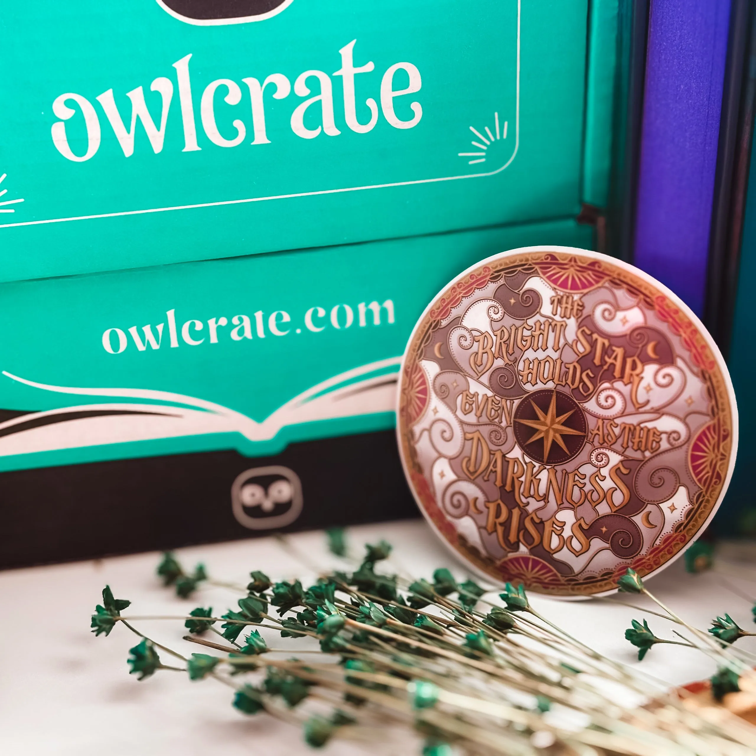 OwlCrate 'TREACHEROUS LOVE' Box