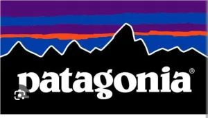 Patagonia Fleece Men And Ladies 17Pieces