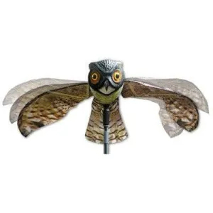 Prowler Owl
